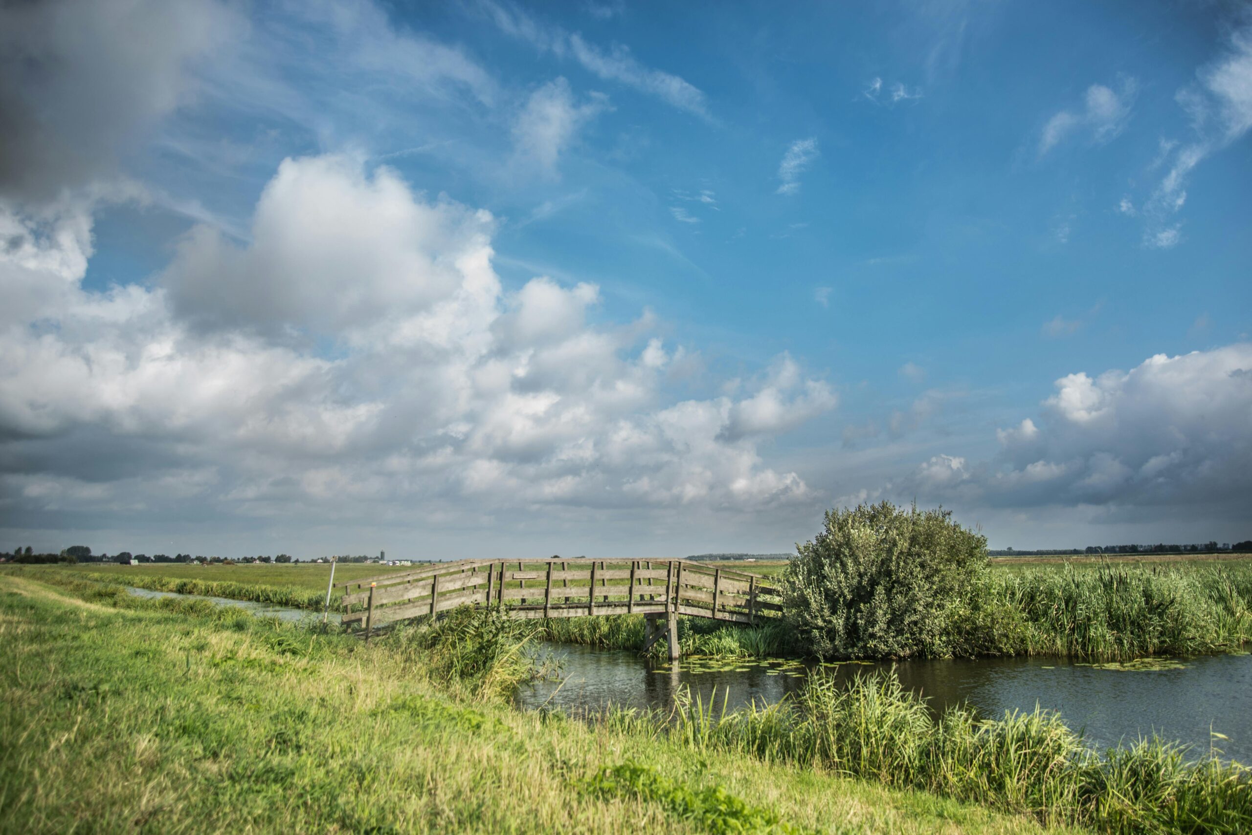 Tranquil rural landscape featuring a wooden bridge, fields, and dramatic clouds in the Netherlands.